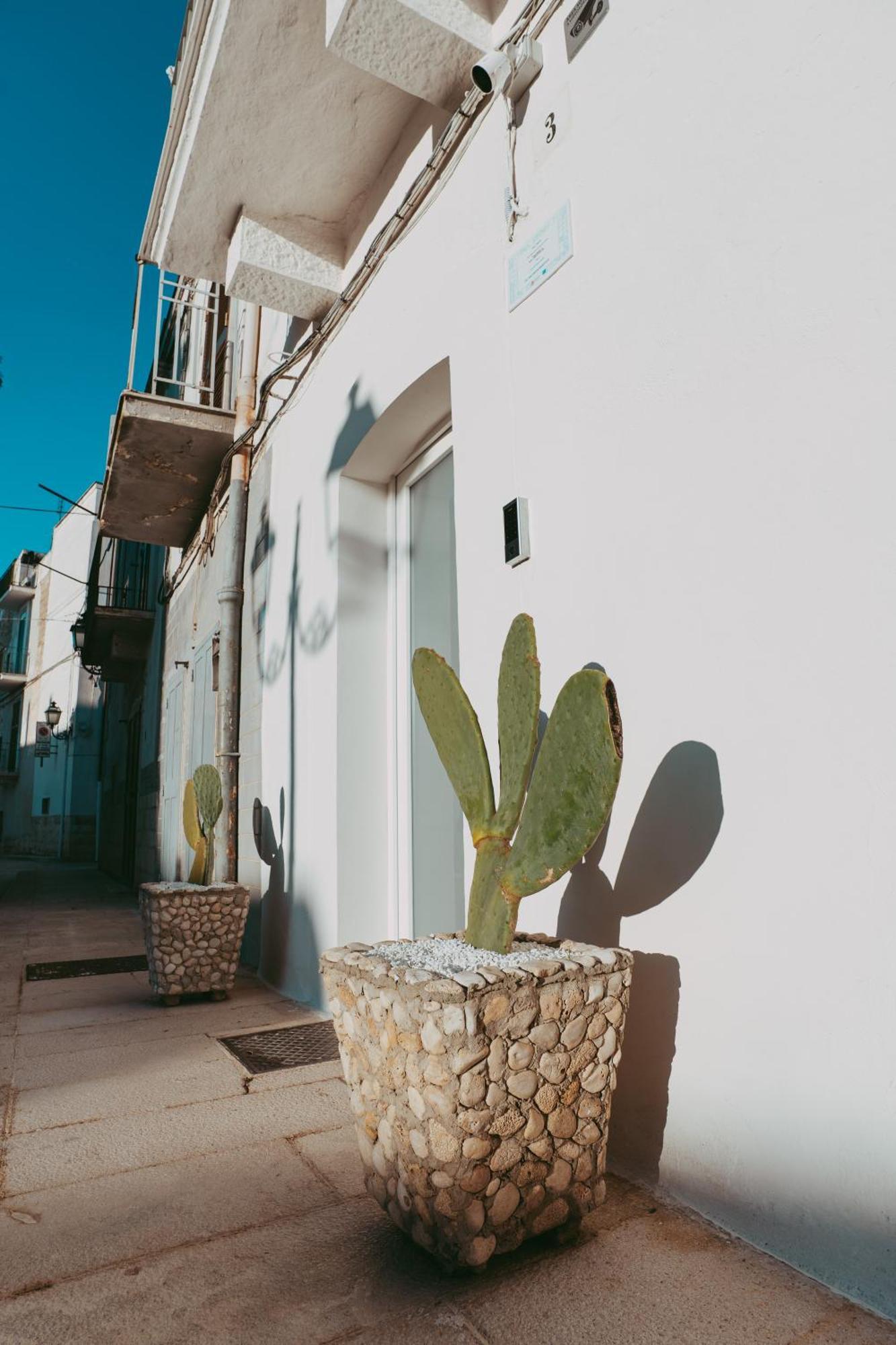 Vila Casa Pagano Noicattaro Exteriér fotografie